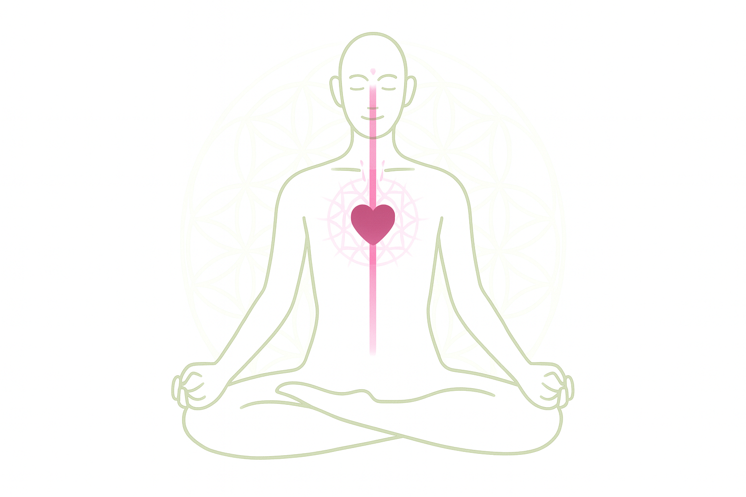 Activación María Magdalena