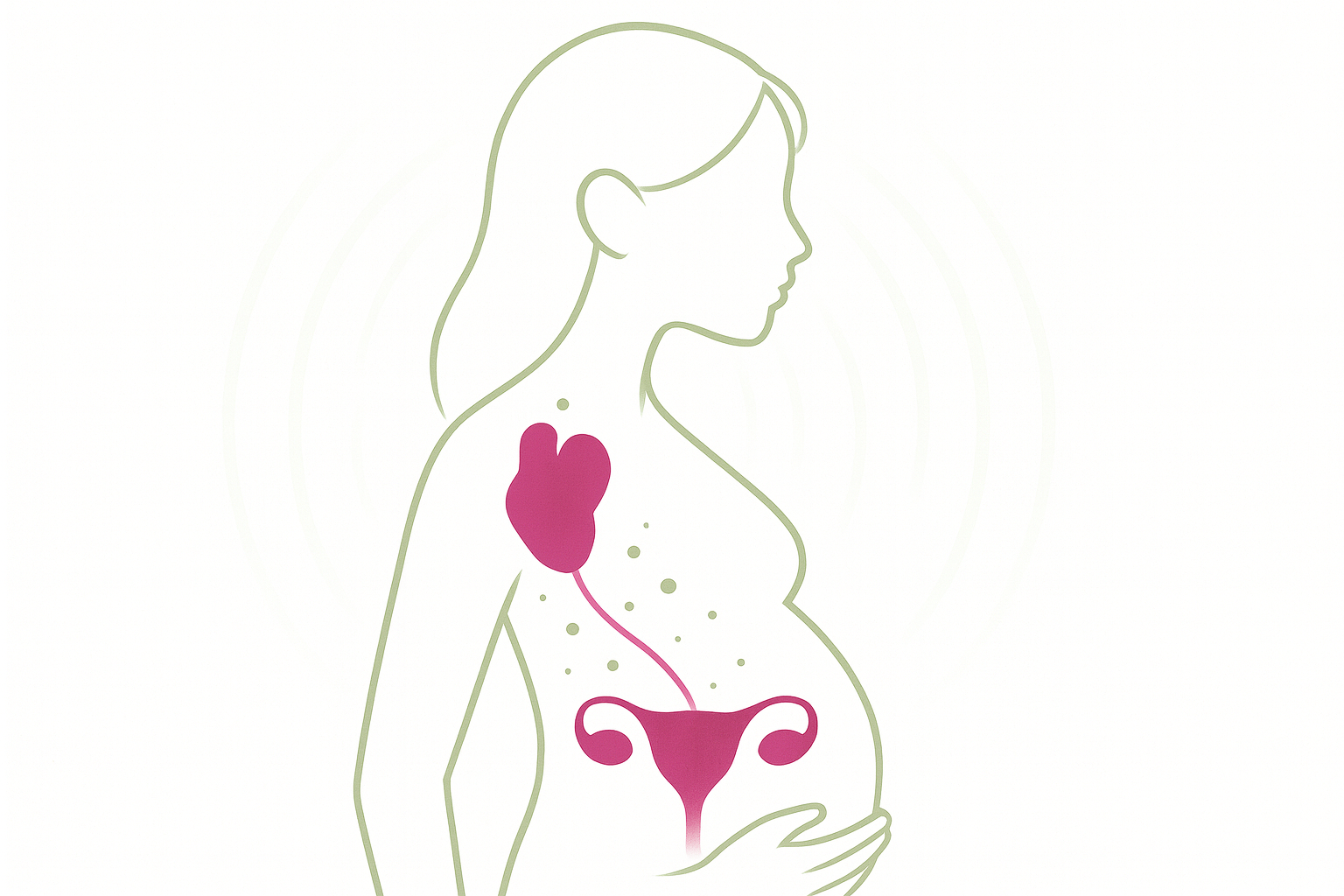 Reconexión útero-corazón